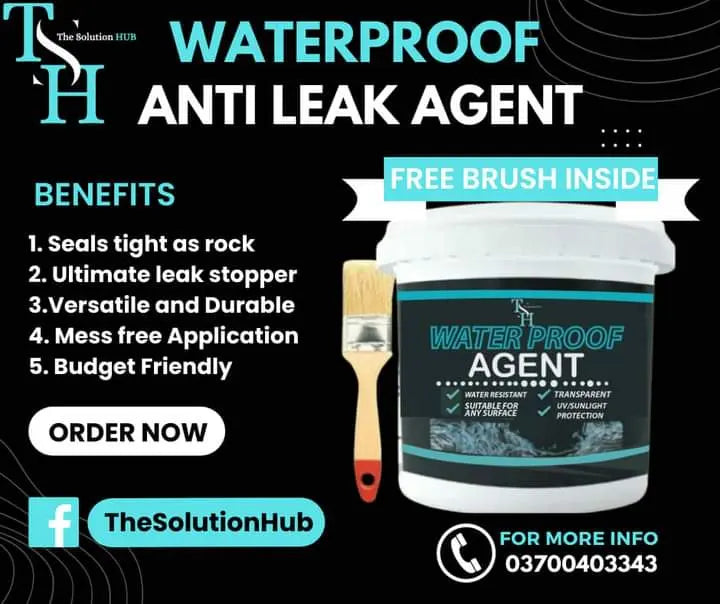 Waterproof Anti Leakage Agent 400g Thesolutionhub